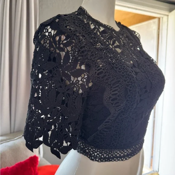 Elegant Black Lace Crop Top - Picture 2 of 7